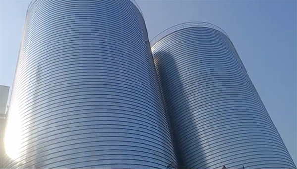 宝山2座混凝土高架卷板仓